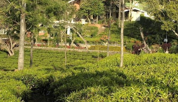 Teanest By Nature Resorts And Stays Coonoor Extérieur photo