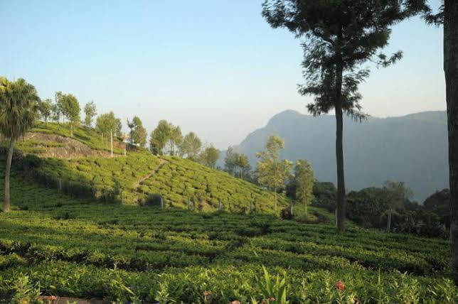 Teanest By Nature Resorts And Stays Coonoor Extérieur photo